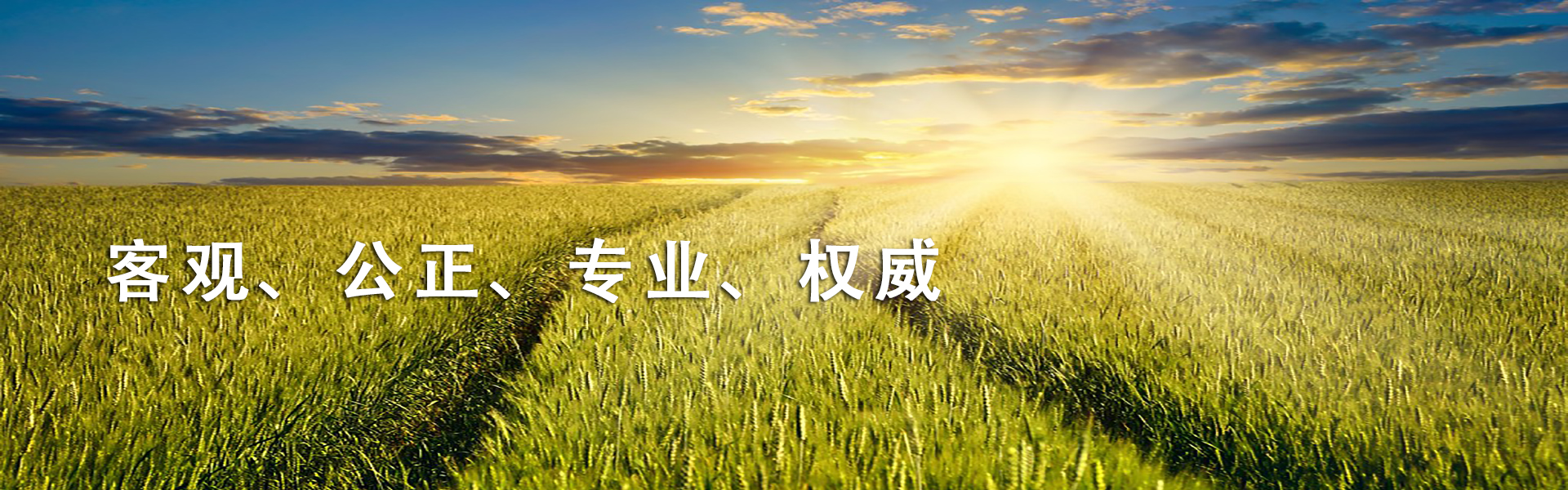 广告二