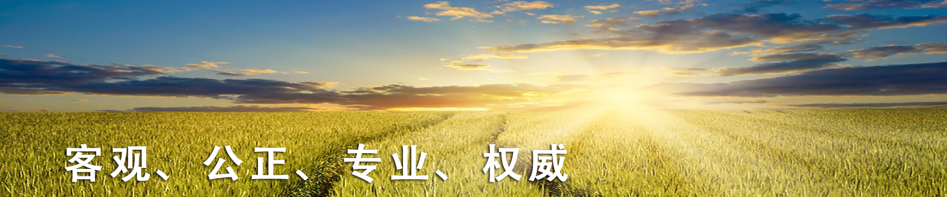 广告二